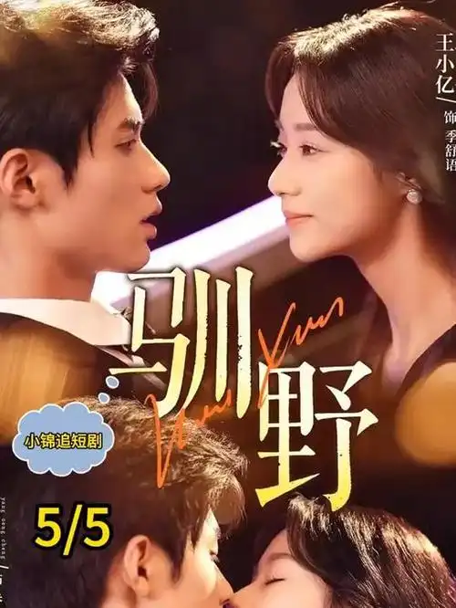 回声档案缩略图